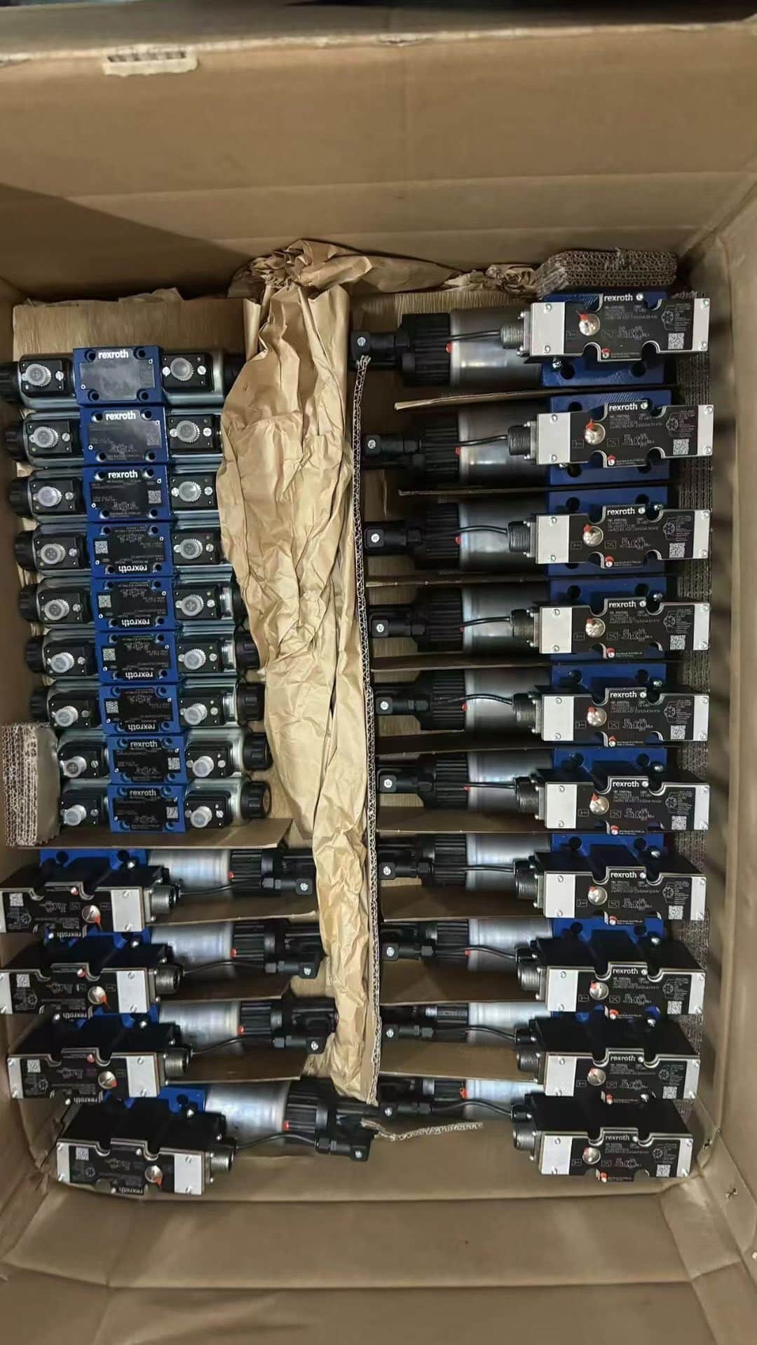 Brand New Original Bosch Rexroth Servo drive Valvola proporzionale 4WS2EM10-5X/5B11XHT315K31EV Servomotore Spedizione veloce